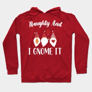 Naughty And I Gnome It / Funny Pajama Christmas Gnomes / Christmas Three Buffalo Plaid Gnomes Hoodie